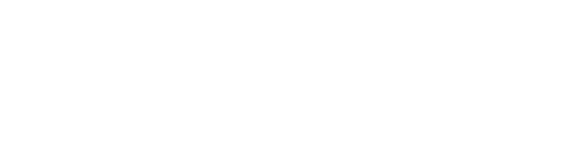 MSORG DEVELOPERS LTD